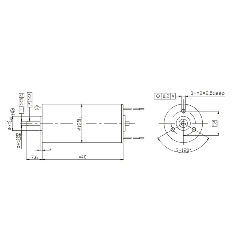 19 Coreless DC Motor